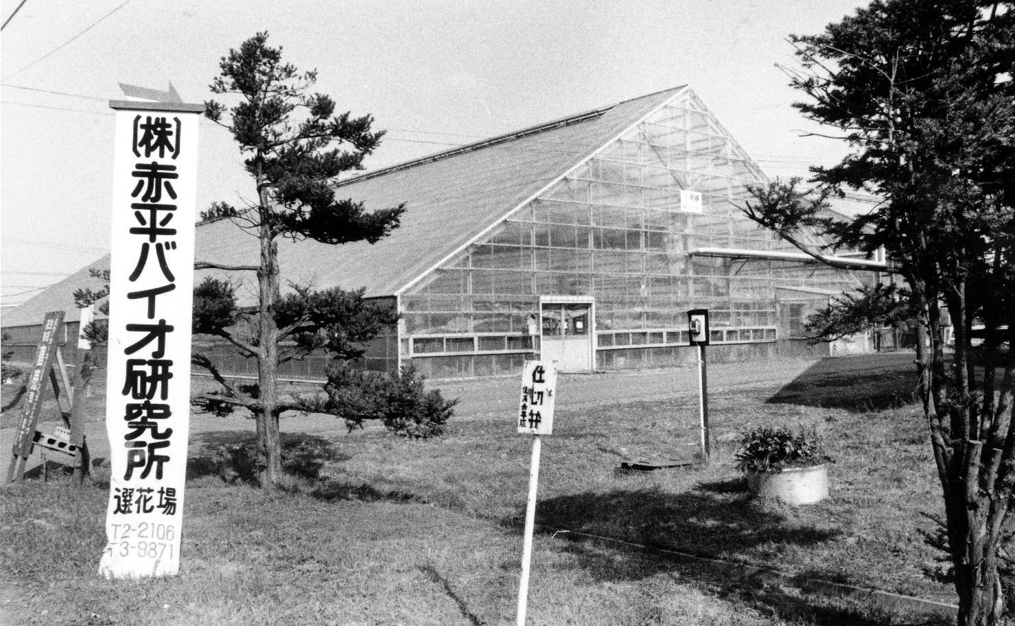 昭和60年の赤平バイオ研究所のハウス